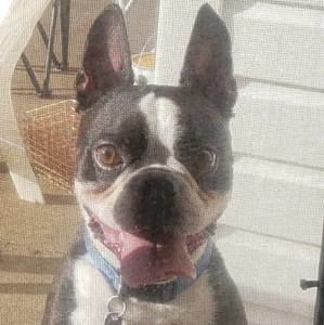 Meet your Posher, Gary